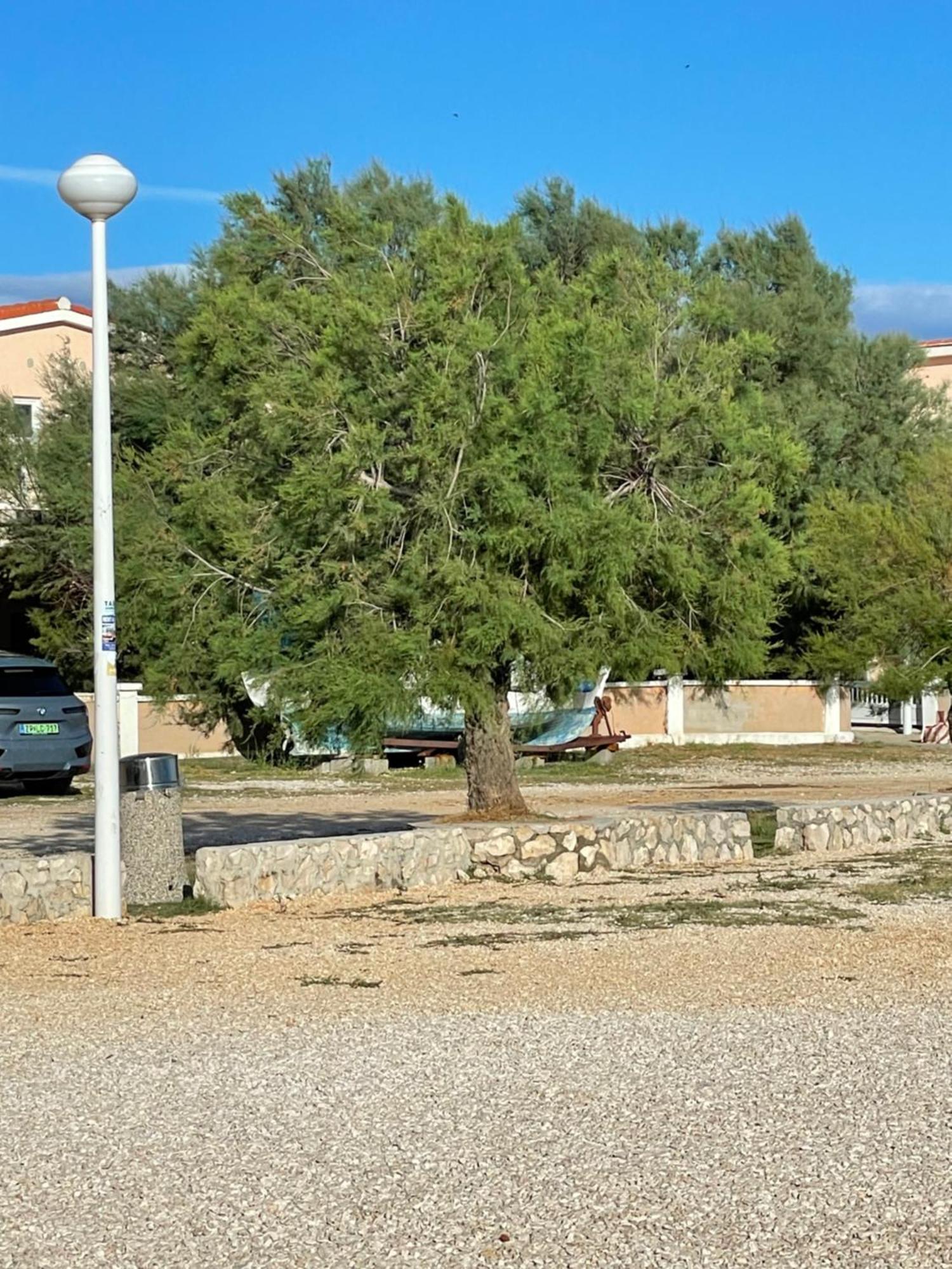 Apartman Boja Vir Exteriér fotografie